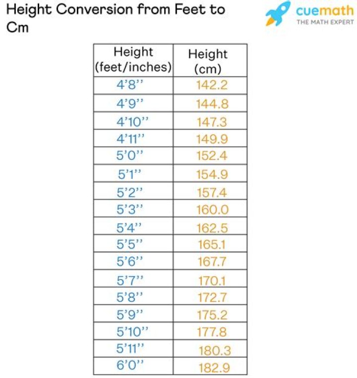 164 cm to ft: A Comprehensive Guide to Height Conversion and Understanding
